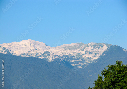 View to mountain, forest and blue sky