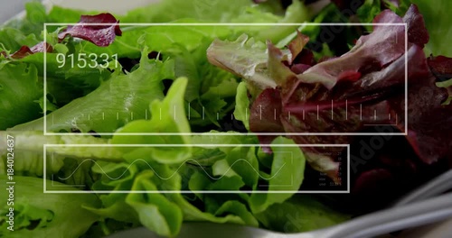 HUD fading in starting numbers and waveform over salad bowl, camera revealing fork for analysis