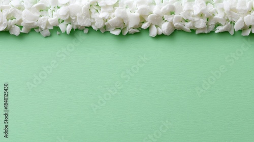 Fresh White Flower Petals on Soft Green Background Creating Serene and Elegant Aesthetic for Spring, Wedding or Nature Inspired Designs