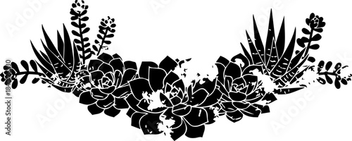 Elegant arrangement of black and white succulent plants, perfect for modern botanical designs and minimalist branding, creating a natural, organic aesthetic