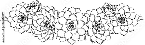 Elegant hand drawn succulent banner design featuring layered rosette shapes perfect for modern botanical branding and invitations