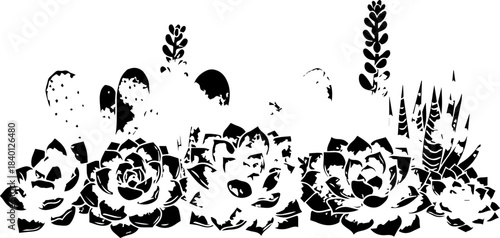 Striking succulents and cacti arrangement, perfect for desert themes, botanical designs, or a touch of nature, originally a scalable vector graphic