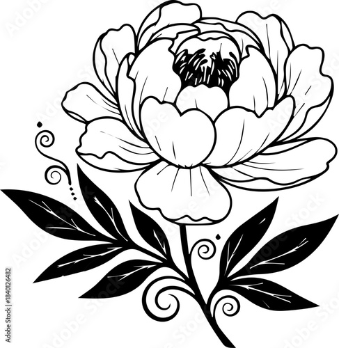 Elegant peony flower illustration with decorative swirls, a classic botanical design for sophisticated projects & timeless graphic elements, originally a vector