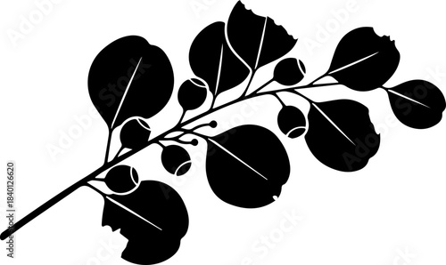 Elegant eucalyptus branch with berries, delicate botanical illustration for wedding invites, natural cosmetics, spa branding, and organic product designs