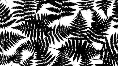 Stunning dense pattern of overlapping fern frond silhouettes creating an elegant natural repeating design element