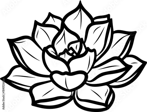 Elegant succulent line art illustration for botanical designs, adding a touch of modern nature to your creative projects with this refined floral graphic