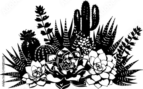 Elegant succulent and cactus arrangement creates a desert garden vibe, perfect for botanical designs and natural themes, originally scalable vector graphic