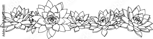 Elegant succulent border for invitations and designs, perfect for adding a touch of nature and sophistication to any project, clean botanical illustration