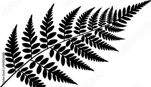 Elegant detailed silhouette of a lush fern frond perfect for natural design accents and botanical projects