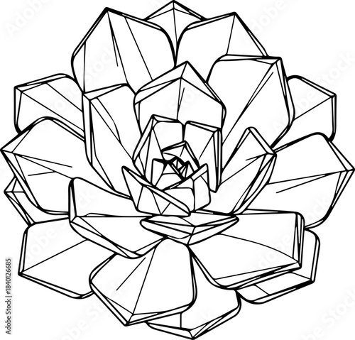 Stunning geometric line art design of a detailed succulent plant creating modern natural beauty
