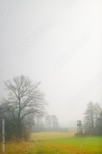 Wallpaper Mural Scenic autumn landscape featuring a hunting blind at the edge of a clearing. Dense morning fog surrounds the bare trees.  Torontodigital.ca