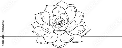 Elegant black and white line art succulent design perfect for modern branding and beautiful minimalist stationery projects