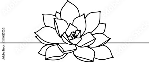 Elegant line art of a succulent plant ideal for minimalist design projects, botanical illustrations and simple natural themes, originally a vector graphics file