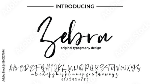 Zebra - Elegant Script Font for Smooth Handwritten Design and Creative Typography