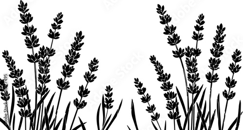 Elegant lavender sprigs create a timeless design, perfect for invitations, branding, or adding a touch of nature-inspired beauty to any project