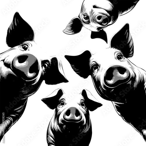 playful pigs peeking down with big eyes and snouts in a circular arrangement sketch engraving generative ai vector illustration. Scratch board imitation. Black and white image.