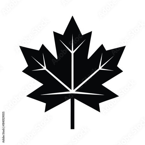 Maple Leaf Nature Icon