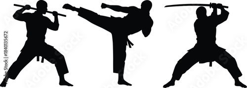 Martial arts warrior silhouettes, karate kick pose, samurai sword action, ninja training, combat stance illustration, isolated on white background