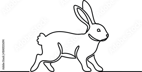 rabbit vector illustration