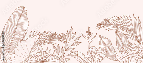 Tropical leaves background vector. Natural jungle monstera palm leaves design in minimal pale green color with contour line art. Design for fabric, print, cover, banner, decoration, wallpaper.