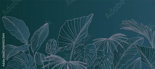 Tropical leaves background vector. Natural jungle monstera palm leaves design in minimal pale green color with contour line art. Design for fabric, print, cover, banner, decoration, wallpaper.