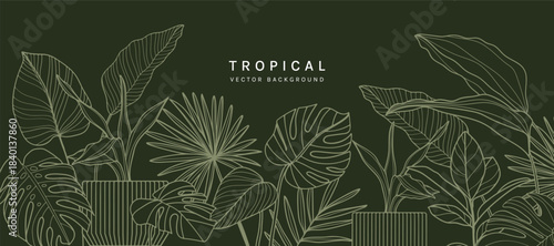 Tropical leaves background vector. Natural jungle monstera palm leaves design in minimal pale green color with contour line art. Design for fabric, print, cover, banner, decoration, wallpaper.