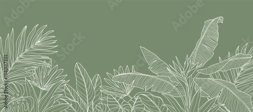 Tropical leaves background vector. Natural jungle monstera palm leaves design in minimal pale green color with contour line art. Design for fabric, print, cover, banner, decoration, wallpaper.