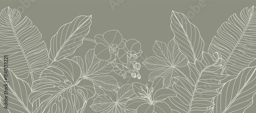 Tropical leaves background vector. Natural jungle monstera palm leaves design in minimal pale green color with contour line art. Design for fabric, print, cover, banner, decoration, wallpaper.