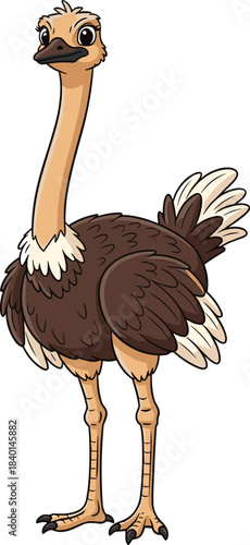 Cartoon Ostrich with Brown Feathers and Long Neck Standing on White Background Keywords: ostrich, bird, animal, wildlife, cartoon