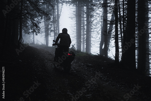 Motorcyclist riding through a pine forest on offroad in autumn