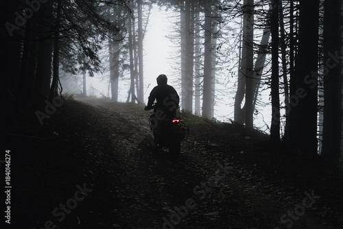 Motorcyclist riding through a pine forest on offroad in autumn
