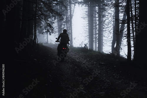Motorcyclist riding through a pine forest on offroad in autumn