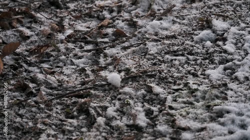 公園の地面に積もり始めた雪