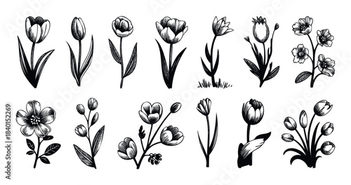 Collection of black and white hand drawn floral elements including tulips and wildflowers for graphic design projects and spring themes