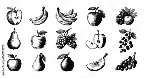 Collection of handdrawn fruits including apples pears bananas and grapes in a vintage sketch style perfect for food and beverage marketing materials