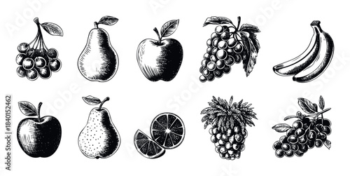 Collection of handdrawn fruits including cherries grapes apples pears bananas and oranges perfect for culinary projects health food promotions and natural themes
