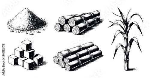 Black and white sketch of sugarcane plant, bundles of processed cane stalks, and cubes of sugar for food and beverage production industry concepts.