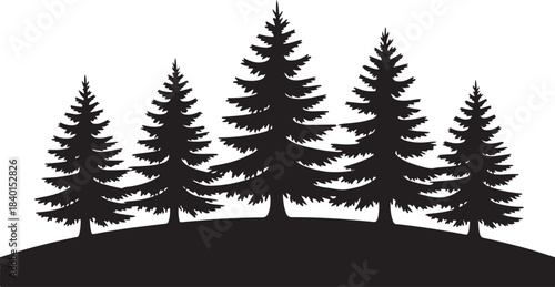 Silhouette conifers stand together on a low hill against a stark white backdrop