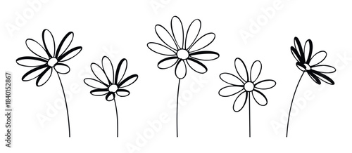 Simple hand drawn black line flowers with delicate petals on stems perfect for decorative use in spring and summer themes and feminine branding elements