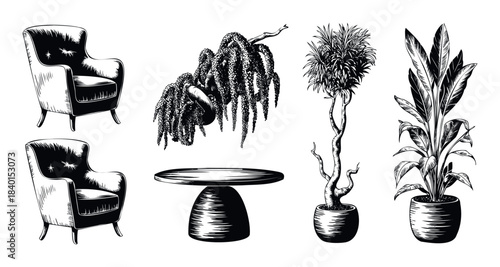 Vintage armchairs and potted plants creating a cozy and stylish living room vignette perfect for home decor and interior design projects.