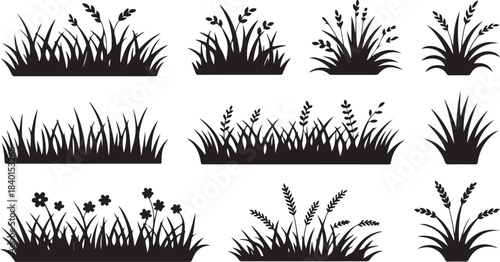 Various isolated black grass tufts and plant silhouettes create diverse botanical landscape representations on white