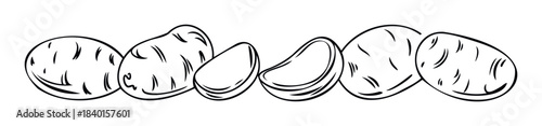 Simple outline drawing of whole and sliced potatoes arranged in a row, perfect for healthy food or recipe content with a fresh organic farm concept