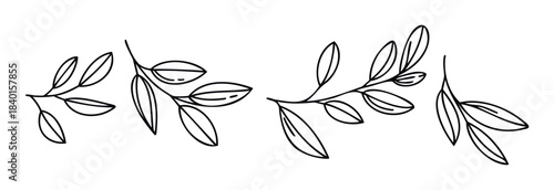 Minimalist black line drawings of branches with leaves, perfect for decorative use on invitations, greeting cards, and organic product branding applications