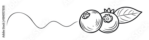 Simple line drawing of two blueberries with a leaf and a flowing wavy line, perfect for food branding and healthy lifestyle concepts.