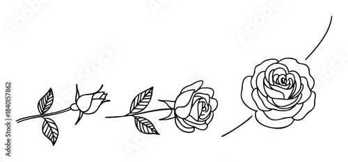 Three black and white line drawings of roses in different stages of bloom, from bud to fully open flower, ideal for graphic projects and floral motifs.