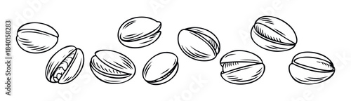Collection of Hand Drawn Pistachios in Outline Style for Food and Ingredient Related Projects and Designs