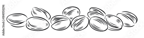Group of oval shapes with line shading, suggesting seeds or beans, perfect for food branding, healthy eating concepts, or ingredient visuals in agricultural contexts.