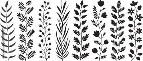 Different black botanical branch silhouettes are arranged on a white background, showing several plants