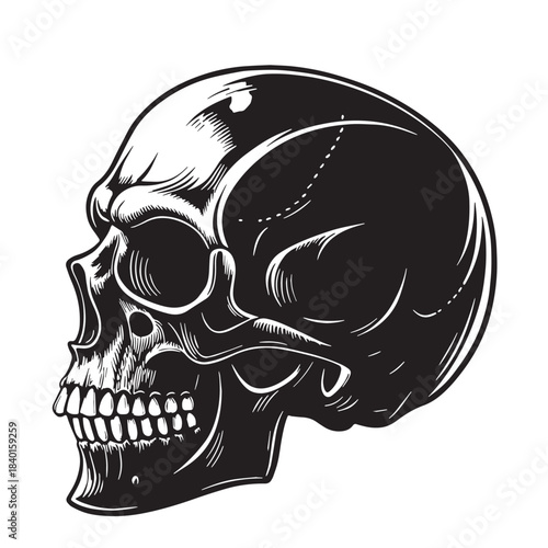 Black skull Silhouette Vector, High Quality Illustration on White Background
