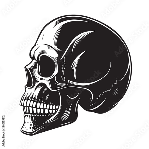 Black skull Silhouette Vector, High Quality Illustration on White Background